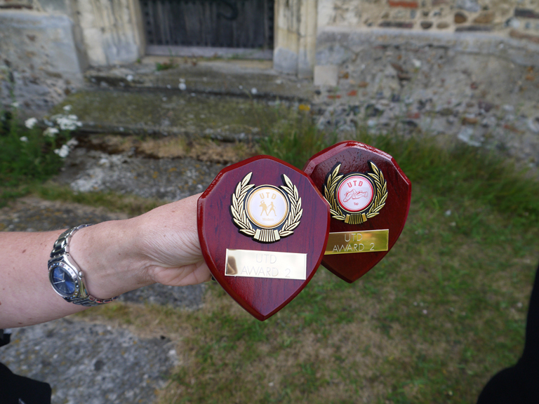 Two of the dance shields that were awarded.